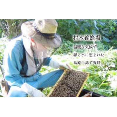 国産はちみつ 250g×3本セット(百花蜜2本・はぜ蜜1本)CH075(島原市)