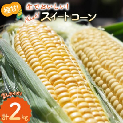 とうもろこし スイートコーン イエロー 約2kg 5本 2Lサイズ　AJ454