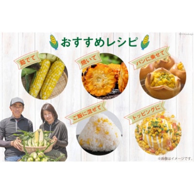 とうもろこし スイートコーン イエロー 約2kg 5本 2Lサイズ　AJ454