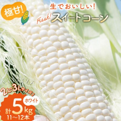 とうもろこし スイートコーン ホワイト 2L～3Lサイズ 11本～12本 約5kg　AI206