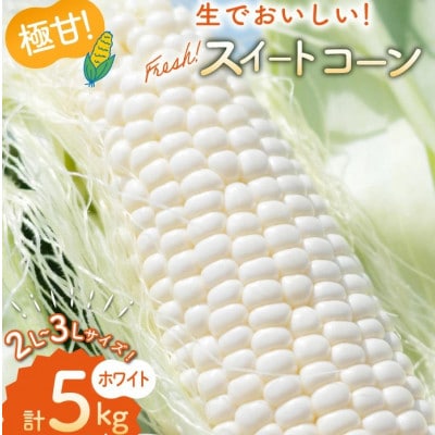 とうもろこし スイートコーン ホワイト 2L～3Lサイズ 10本～12本 約5kg　AI206