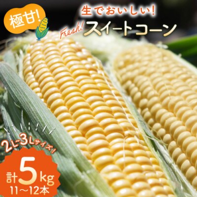 とうもろこし スイートコーン イエロー 2L～3Lサイズ 11本～12本 約5kg　AI207