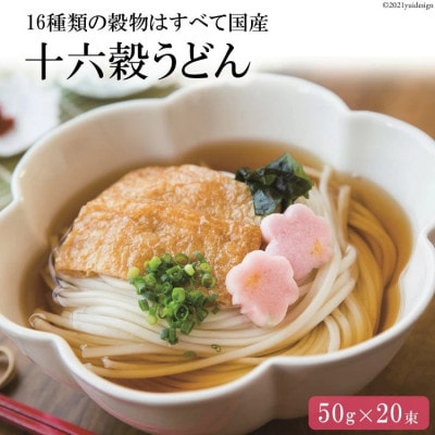 長崎県島原市 十六穀うどん 1kg AA017