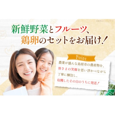 野菜・フルーツ・卵 旬のおまかせセット(野菜・フルーツ13～14品目、卵6玉)CA025