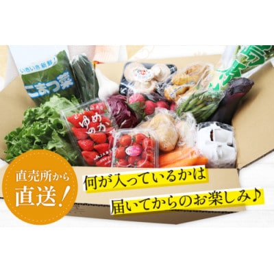 野菜・フルーツ・卵 旬のおまかせセット(野菜・フルーツ13～14品目、卵6玉)CA025