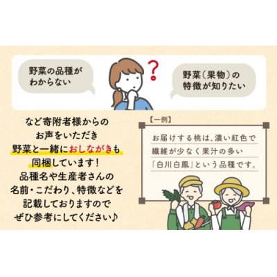 野菜・フルーツ・卵 旬のおまかせセット(野菜・フルーツ13～14品目、卵6玉)CA025