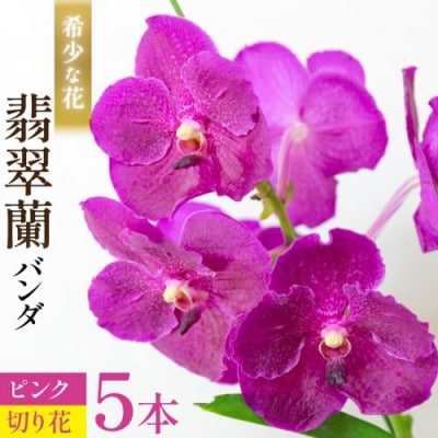 希少な花「華やかな恋」の予感 翡翠蘭(バンダ) ピンク 切り花5本 AI175