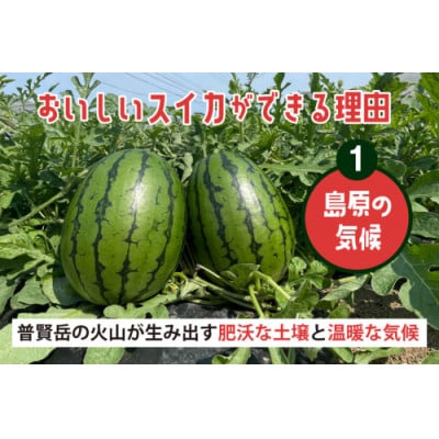 【令和8年度出荷分】 Farm honda 小玉スイカ 2玉 計約5kg AJ461