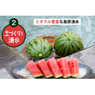 【令和8年度出荷分】 Farm honda 小玉スイカ 2玉 計約5kg AJ461