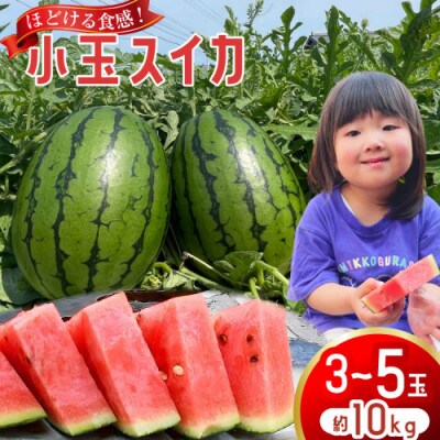 【令和8年度出荷分】 Farm honda 小玉スイカ 3～5玉 約10kg AJ462