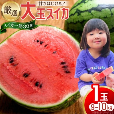 【令和9年出荷分】 Farm honda 大玉スイカ 1玉 9kg～10kg