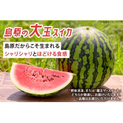 【令和9年出荷分】 Farm honda 大玉スイカ 1玉 9kg～10kg