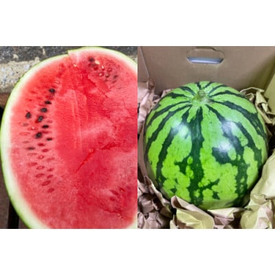 【令和9年出荷分】 Farm honda 大玉スイカ 1玉 9kg～10kg