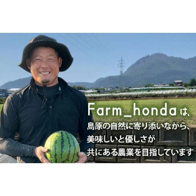 【令和9年出荷分】 Farm honda 大玉スイカ 1玉 9kg～10kg