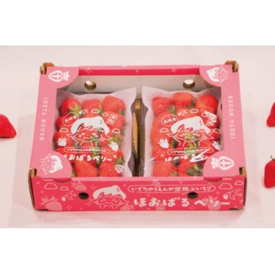 いちご(ほおばるベリー) 約500g(250g×2パック)