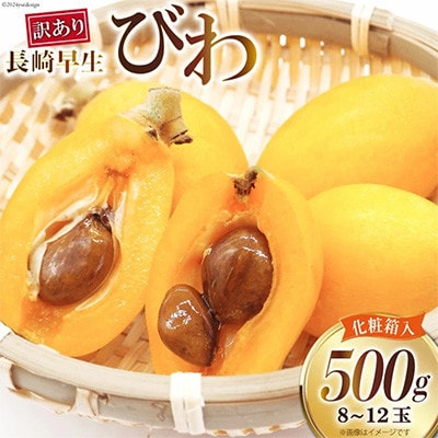 【訳あり】長崎びわ 500g 8玉～12玉入り(L～3Lサイズ)　AI208