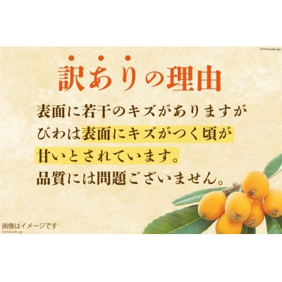 【訳あり】長崎びわ 500g 8玉～12玉入り(L～3Lサイズ)　AI208