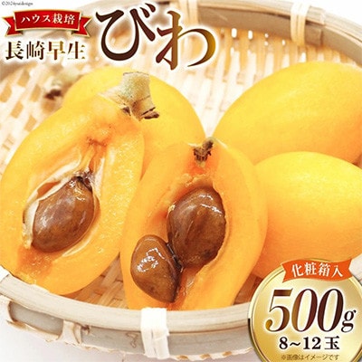赤秀 長崎びわ 500g 8玉～12玉入り(L～3Lサイズ) AI209