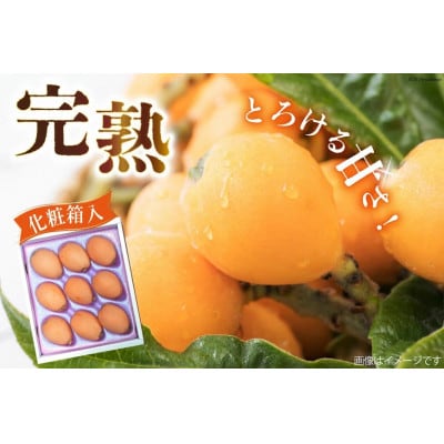 赤秀 長崎びわ 500g 8玉～12玉入り(L～3Lサイズ) AI209