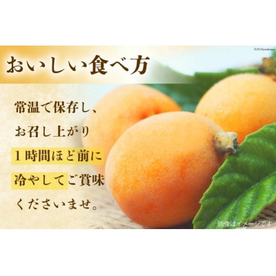 赤秀 長崎びわ 500g 8玉～12玉入り(L～3Lサイズ) AI209