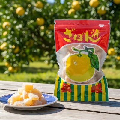 文旦堂おすすめ4種セット (長崎かすてら・長崎ざぼん・長崎塩かすてら各1本/ざぼん2袋)