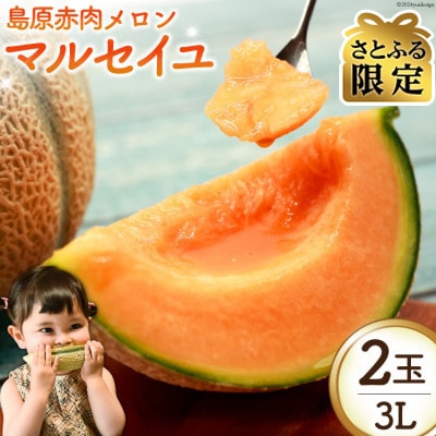 【さとふる限定】【先行受付】【令和9年度出荷分】島原赤肉メロン「マルセイユ」(3L×2玉)