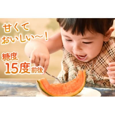 【さとふる限定】【先行受付】【令和9年度出荷分】島原赤肉メロン「マルセイユ」(3L×2玉)