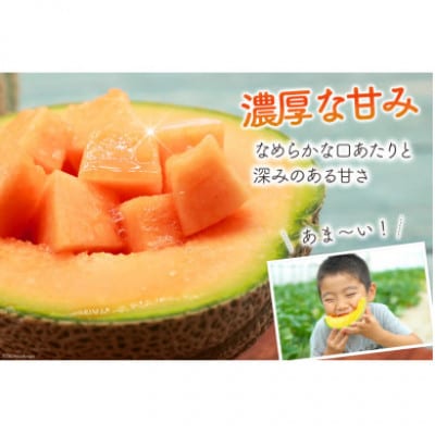 【さとふる限定】【先行受付】【令和9年度出荷分】島原赤肉メロン「マルセイユ」(3L×2玉)