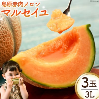 【先行受付】【令和9年度出荷分】島原赤肉メロン「マルセイユ」(3L×3玉) AK130