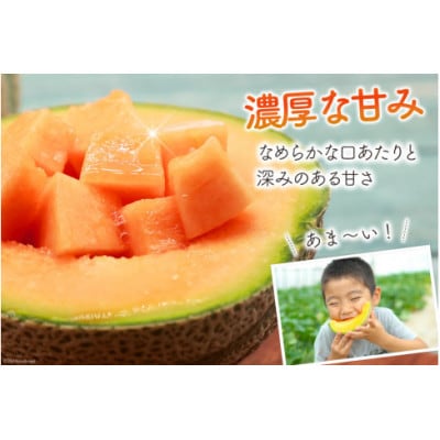 【先行受付】【令和9年度出荷分】島原赤肉メロン「マルセイユ」(3L×3玉) AK130