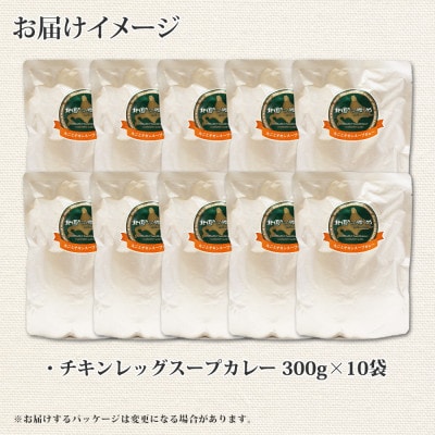 【のし付】【北海道】北国のまるごとチキンレッグスープカレー300g×10個 578