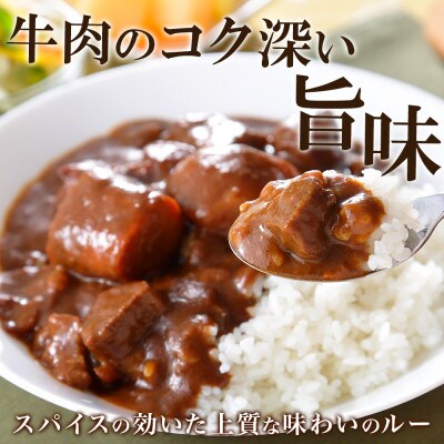 【北海道】北国の弟子屈ビーフカレー(中辛)200g×10個 507