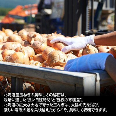 【北海道】弟子屈産 玉ねぎ使用 オニオンスープ 60食 スライスオニオン クルトン入り 471