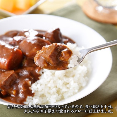 【のし付】【北海道】北国の弟子屈ビーフカレー(中辛)200g×2個 548