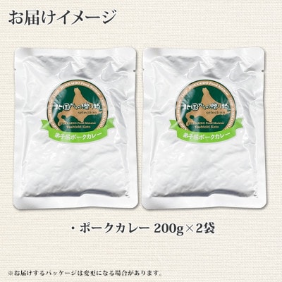 【北海道】弟子屈ポークカレー(中辛)  2個 774