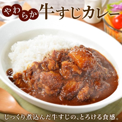 【北海道】弟子屈牛すじカレー(中辛) 5個 778