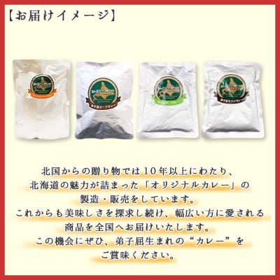 【北海道】カレー4種食べ比べセット 中辛 計4個(チキンスープ・ビーフ・ポーク・牛すじ) 780