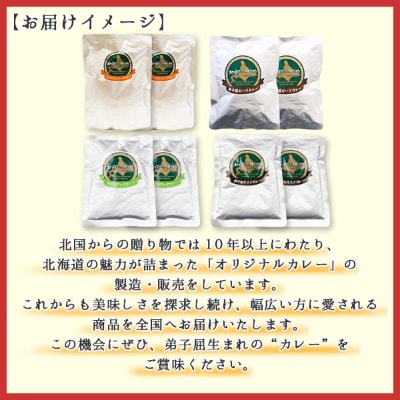 【北海道】カレー4種食べ比べセット 中辛 計8個(チキンスープ・ビーフ・ポーク・牛すじ) 781