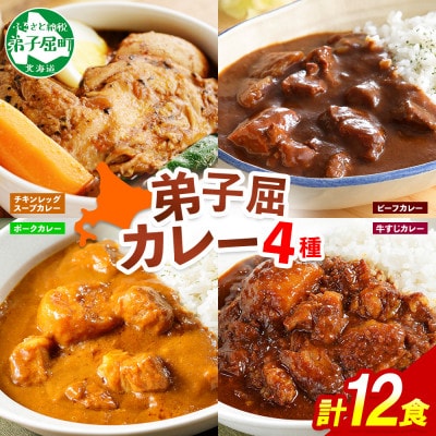 【北海道】カレー4種食べ比べセット 中辛 計12個(チキンスープ・ビーフ・ポーク・牛すじ) 782