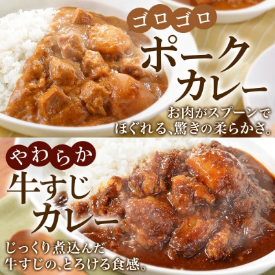 【北海道】カレー4種食べ比べセット 中辛 計12個(チキンスープ・ビーフ・ポーク・牛すじ) 782