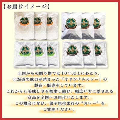 【北海道】カレー4種食べ比べセット 中辛 計12個(チキンスープ・ビーフ・ポーク・牛すじ) 782