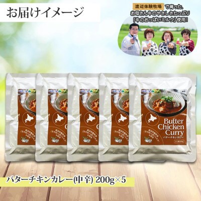 北国の弟子屈バターチキンカレー(中辛) 200g×5個 1440