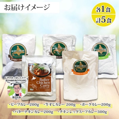 カレー5種食べ比べセット計5個 バターチキン・チキンレッグスープ・ビーフ・ポーク・牛すじ 1446