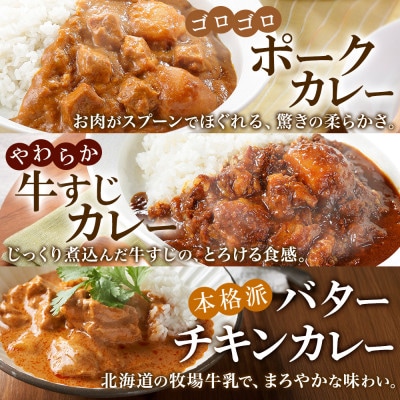 カレー5種食べ比べセット計10個 バターチキン・チキンレッグスープ・ビーフ・ポーク・牛すじ 1447