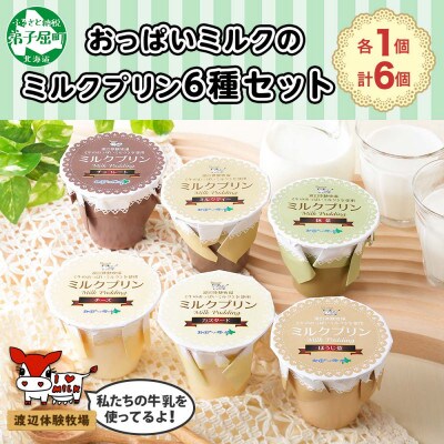 弟子屈ミルクプリン 6種 食べ比べ 計6個 北海道 弟子屈町 1461
