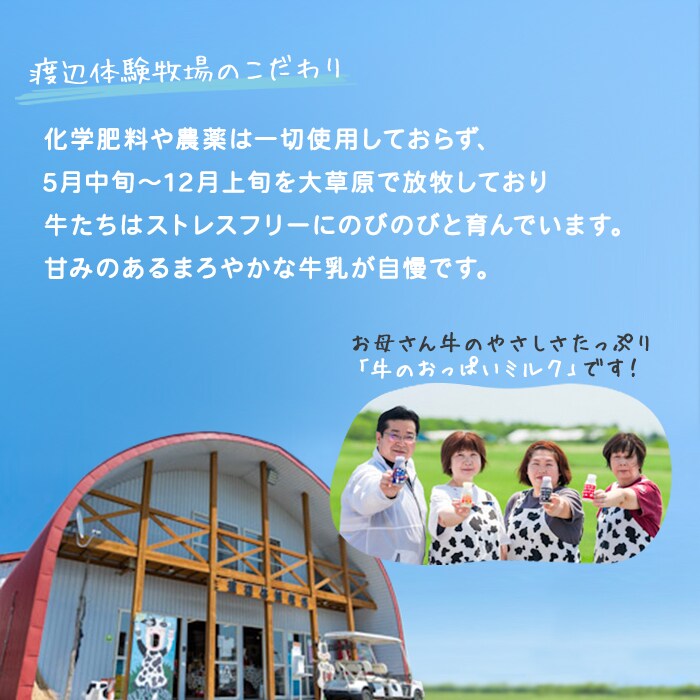 弟子屈ミルクプリン 6種 食べ比べ  計12個 北海道 弟子屈町 1462