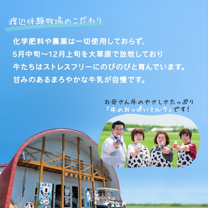 弟子屈ミルクプリン カスタード 杏仁豆腐 マンゴー杏仁風 計12個 北海道 弟子屈 1470