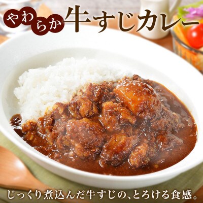 【のし付】【北海道】弟子屈牛すじカレー(中辛) 2個 777