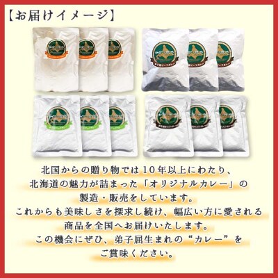 【毎月定期便】北国のカレー4種 食べ比べセット 中辛 計12個 全3回