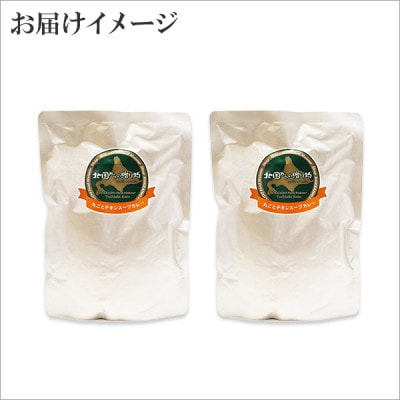 【毎月定期便】北国のまるごとチキンレッグスープカレー300g×2個 全3回